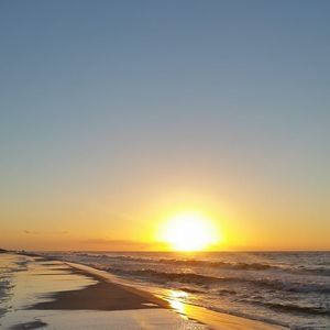 Meet your Posher, Kari